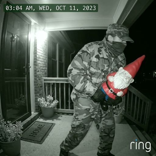 Caught stealing a garden gnome at 3 AM on doorbell camera